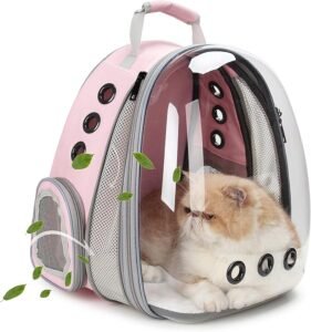 do cats like cat backpacks