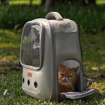 do cats like cat backpacks