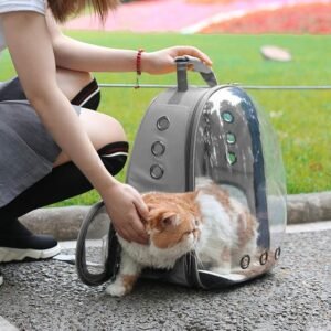 are cat backpacks good