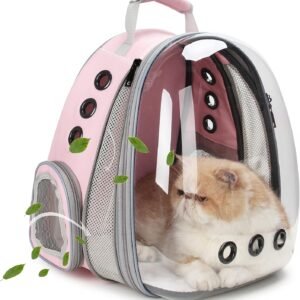 large cat bubble backpack