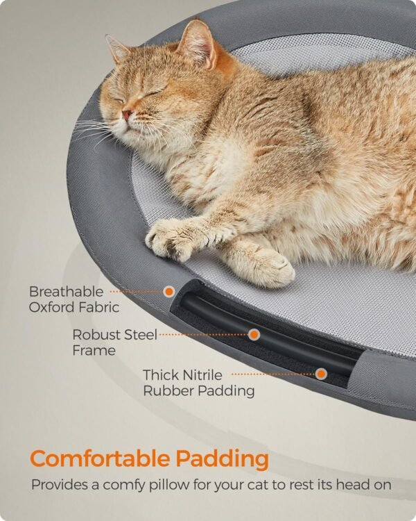 cat hammock bed