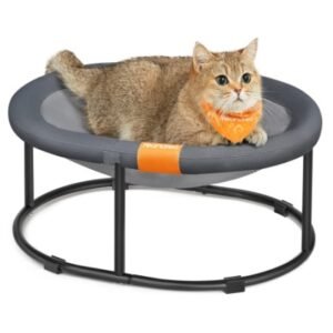 cat hammock bed