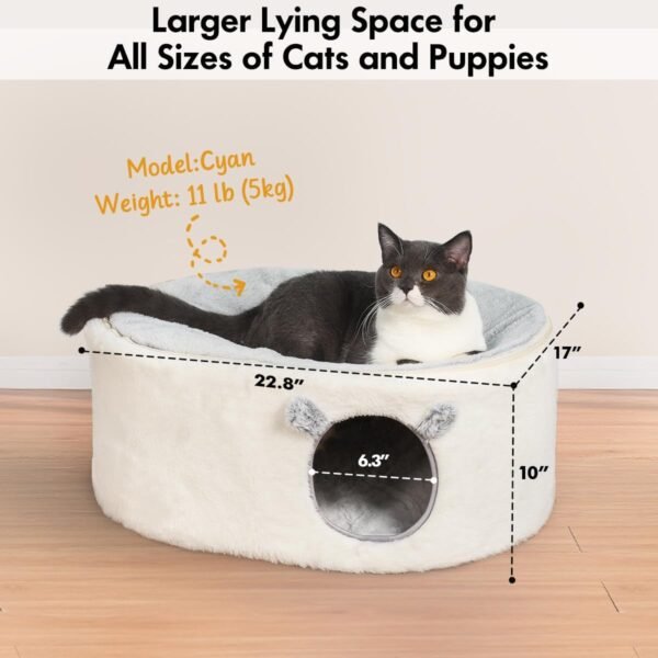 large cat hammock bed