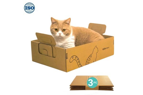 portable cat litter box