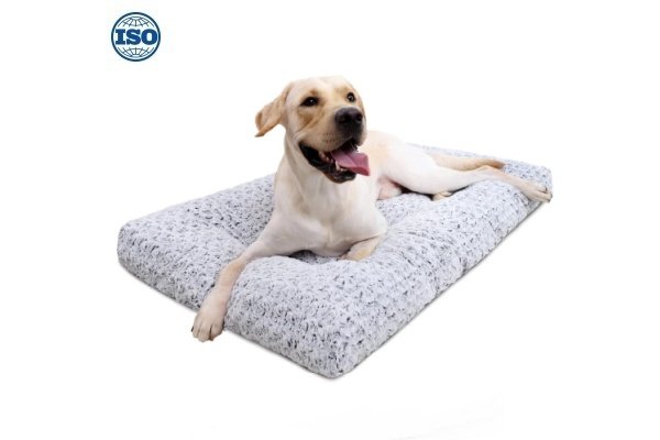 wholesale dog beds