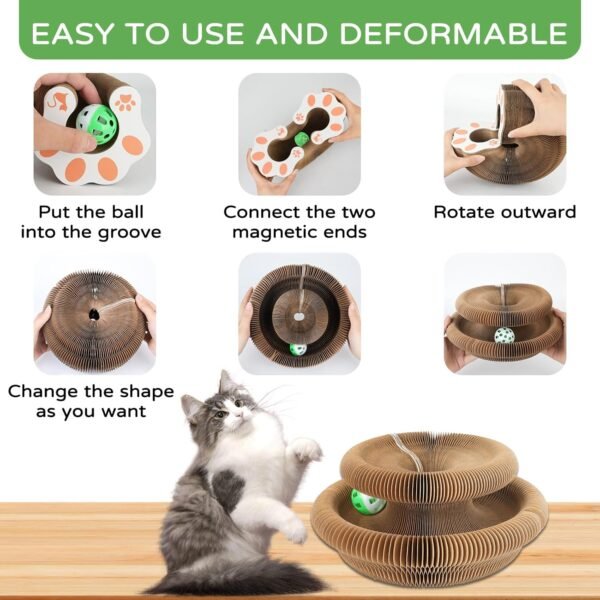 cardboard cat toy