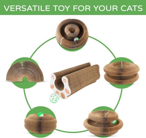 cardboard cat toy