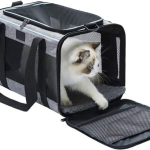 cat back pack carrier