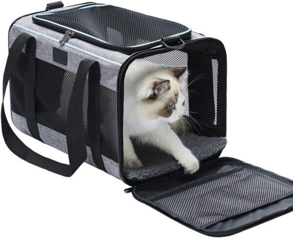 cat back pack carrier