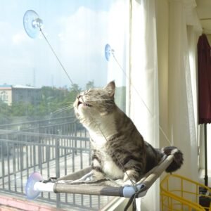 cat window bed hammock