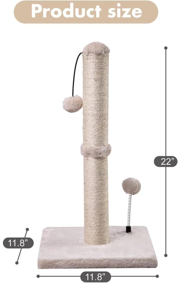 cute cat scratching post