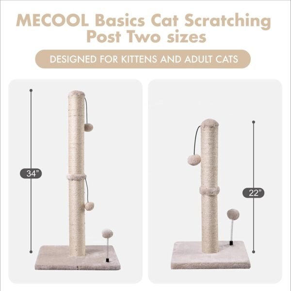 cute cat scratching post