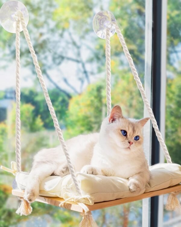 hanging window cat bed