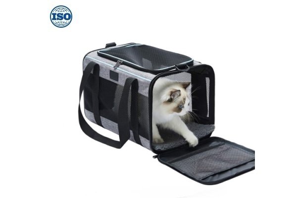 cat carrier back pack