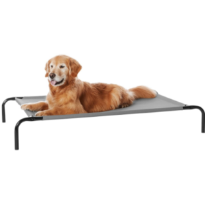 best raised dog bed