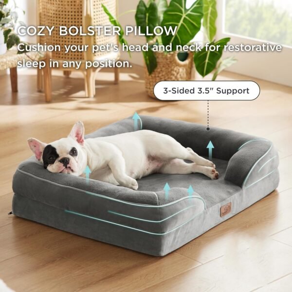 bulk dog beds