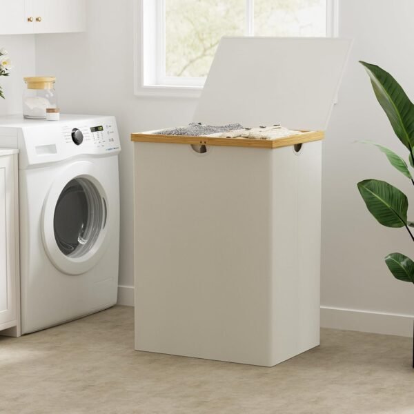 double laundry hamper with lid